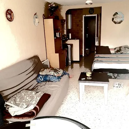 Studio In With Balcony 200 M From The Beach Агд